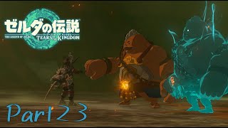 炎の賢者-ゼルダの伝説 Tears of the Kingdom -part23-