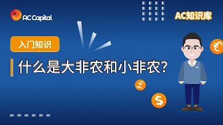 什么是大非农和小非农？