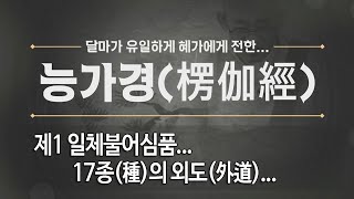 능가경... 제 27 회 제1 일체불어심품... 17종(種)의 외도(外道)...