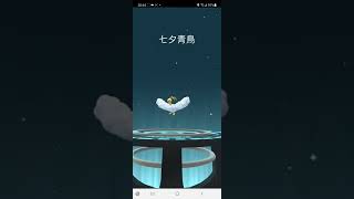 【Pokemon GO】進化異色青綿鳥