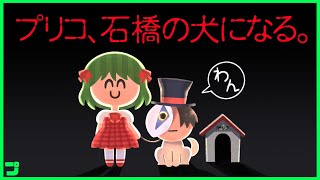 【祝】プリコ、石橋の犬になる。