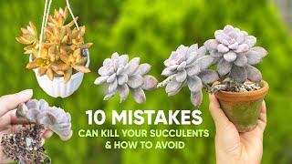 10 Mistakes Can Kill Your Succulent \u0026 How to Avoid 多肉植物 | 다육이들 | Suculentas