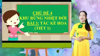 Mĩ thuật 2:  Vẽ tắc kè hoa