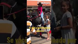 #shots #viral #youtubeshorts #boi #caipira #cavalgada #cavalgada #boiada #agro fyp