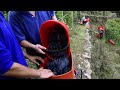 the grape harvest in valtellina