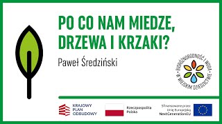 Po co nam miedze, drzewa i krzaki? / Paweł Średziński