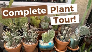 Complete Collection Plant Tour pt.1  (Spring/Summer) | Cactus, Succulents, Desert Plants
