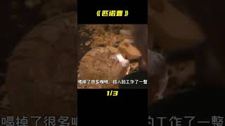 說謊的孩子，鼻子會變長！1982年真人童話劇場——《匹諾曹》 #阿布的童話世界 #兒童故事 #中文童話 #童話故事 #漫畫