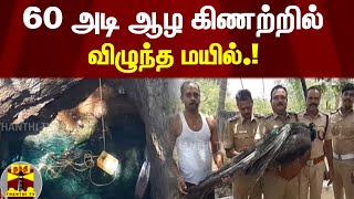 60 அடி ஆழ கிணற்றில் விழுந்த மயில்.! | Sanganaperi | Peacock