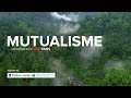 MUTUALISME - Film Dokumenter Imbal Balik Hutan Hujan Tropis dan Manusia