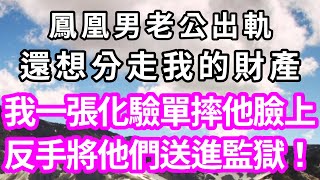 鳳凰男老公出軌，還想分走我的財產，我一張化驗單摔他臉上！ 反手將他們送進監獄！#花開富貴#情感故事#家庭倫理