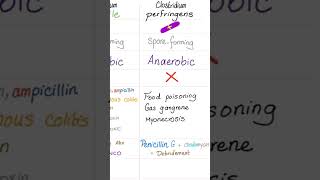 Clostridium perfringens- Food poisoning, Gas gangrene, Muscle Necrosis (Myonecrosis)-Microbiology🧫