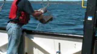 Ponar Dredge along Pukaskwa Coast, Lake Superior