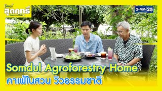 Somdul Agroforestry Home คาเฟ่ในสวน วิวธรรมชาติ l Highlight พ่อลูกสุดฤทธิ์ Ep.192 | 7 ก.ย. 67