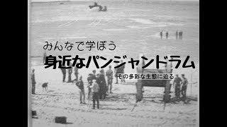 みんなで学ぼう、身近なパンジャンドラム