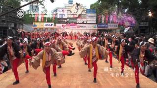 國士舞双２０１５「國士の花火だよ！全員集合！！」第６２回よさこい祭り