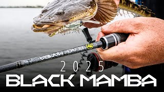 TT 25 Black Mamba Light Spin Fishing Rods - An Overview.