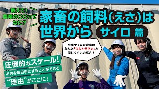 教えて！農業の○○ってなに？　家畜の飼料（えさ）は世界から ”サイロ”篇　#4