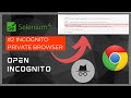 SELENIUM: How to OPEN With Incognito PRIVATE BROWSER Chrome #2