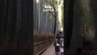 #京都 #kyoto #嵐山 #arashiyama 京都嵐山、竹林の小径を散歩