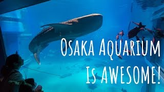 Osaka Aquarium is AMAZING!!!  beware of the sharks
