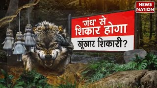 Bahraich Wolf Terror: बहराइच में आदमखोर को पकड़ने के लिए इंसानी ट्रैप | UP News | Latest News