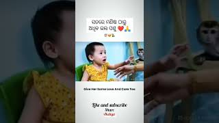 ସତରେ ମଣିଷ ଠାରୁ  ଅଧିକ ଭଲ ପଶୁ Like and subscribe please