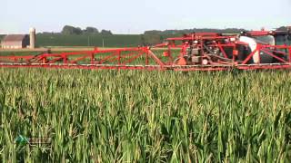 Farm Basics #797 - Corn Reproductive Stages (Air Date 7/14/13)