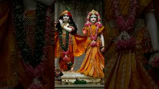 Today 15..12.2024 Mangal aarati darshan Iskcon temple tirupati