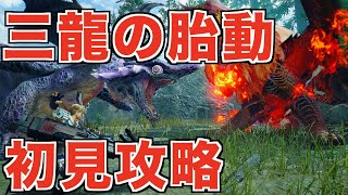 古龍３体の同時狩猟だと！？「三龍の胎動」　初見太刀攻略　モンスターハンターライズ　サンブレイク　#mhr #mhrsb #太刀