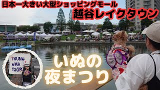 【いぬの夜まつり/いぬのおまつり】2024年8月24日(土) 16:30～20:30開催の犬のイベントが日本一のショッピングモール、越谷レイクタウンでやってたので行ってきた。