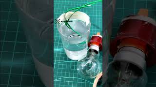 Experiment With 100w Bulb ! #shorts #experiment