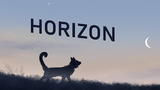 HORIZON - Feline OC MAP (CLOSED)