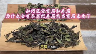 如何区分贡眉和寿眉？为什么会有茶商把寿眉充当贡眉来卖？