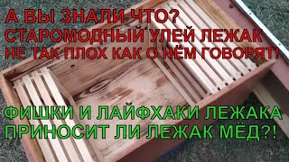 Старомодный УЛЕЙ ЛЕЖАК работа и лайфхаки с лежаком ПРИНОСИТ ЛИ ЛЕЖАК МЁД ✅☝️🐝