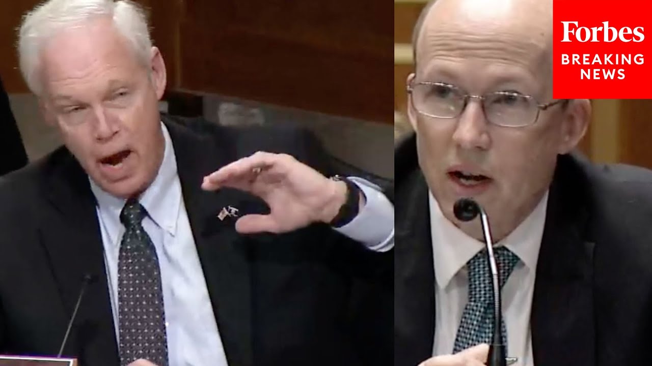 'I'm Enormously Frustrated': Ron Johnson Confronts Biden Official About Drone Threat