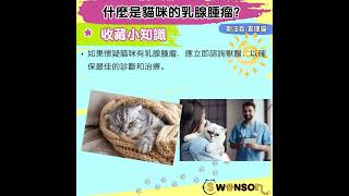 斯汪森|SWONSON-279 什麼是貓咪的乳腺腫瘤？