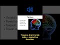 Trauma, the Frontal lobe, + executive function