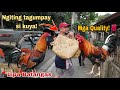 Episode 61: Bentahan ng Manok sa Lipa Batangas