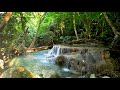 10 Hours Small Waterfall In The Forest. Relaxing Nature Sounds, Waterfall. White Noise For Sleeping.