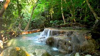 10 Hours Small Waterfall in the forest. Relaxing Nature Sounds, Waterfall. White Noise for Sleeping.