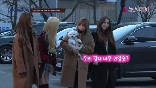 enewstv 멜로디데이 홍진영, 강아지 보다 내가 더 귀여울껄? 151119 EP.1