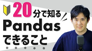 【20分に凝縮！】Pandasでできることまとめ｜Pythonに欠かせないライブラリPandasでできることを知ろう