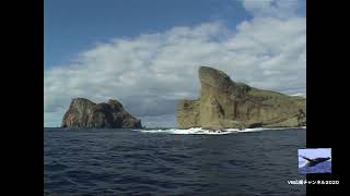 [記録]2003年小笠原諸島 聟島列島 嫁島  mov.ogasawara - Mukoshima Islands 2