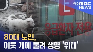 80대 노인, 이웃 개에 물려 생명 '위태' -R (230308수/뉴스데스크)