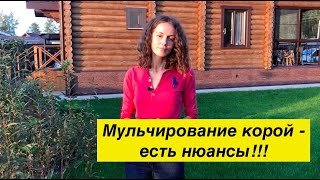 Мульчирование корой - не всё так просто, как кажется. Мой опыт!