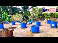 আধুনিক পদ্ধতিতে ছাদ বাগান roof garden in modern way chittagong bangladesh