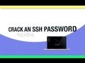 How To: Crack An SSH Password