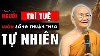 Làm người đừng nên quá Tính Toán để Mọi Thứ Thuận Tự Nhiên | HT. Viên Minh