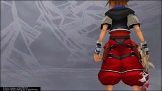 Xemnas Data Org Level 1 Critical Mode